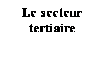 Zone de Texte: Le secteur tertiaire
