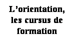 Zone de Texte: Lorientation, les cursus de formation

